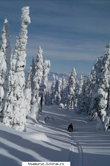 niste poaze cam asa arata ieri