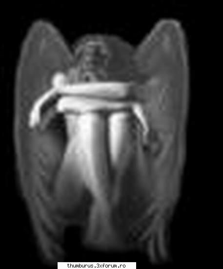 pozele mele.. angel