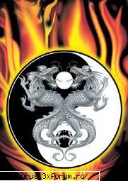 pozele mele.. ying-yang