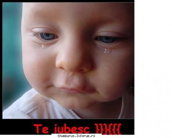 colectie versuri cum pare???? rogm mult astept pareri...