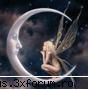 AVATAR - thumburus - Galerie Foto