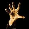 AVATAR - thumburus - Galerie Foto