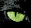AVATAR - WoW! Cat de super sunt unele :D....mai ales asta - Galerie Foto