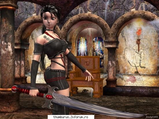 Anime - Paladin - Galerie Foto