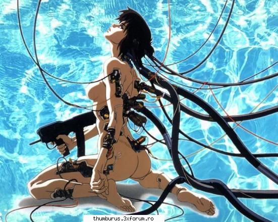 Anime - Paladin - Galerie Foto