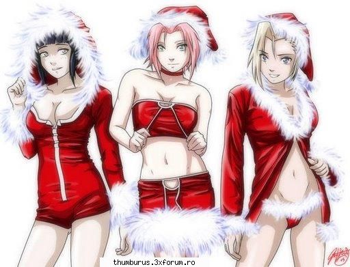 Anime - Paladin - Galerie Foto