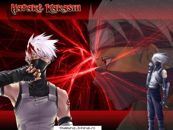 Anime - Paladin - Galerie Foto