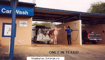 mda doar in texas