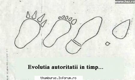 mda evolutia in timp