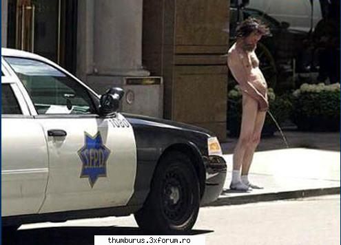 busted funny collection