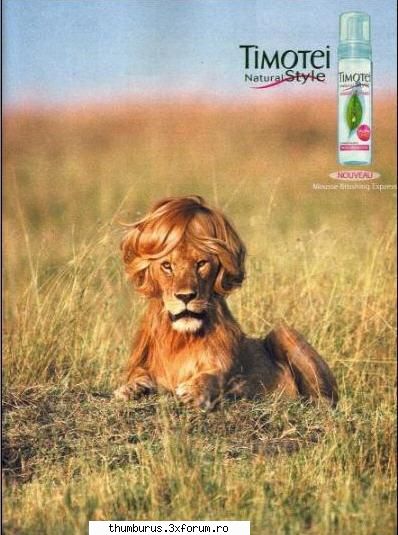 natural funny collection