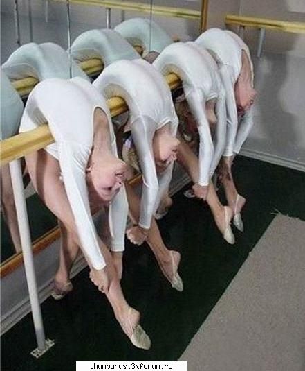 no bones funny collection