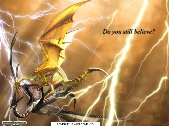 Funny - Paladin - Poze