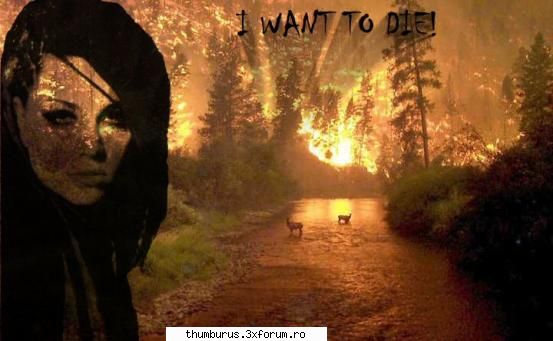 Just my pictures - 4 My love Amy Lee - Galerie Foto