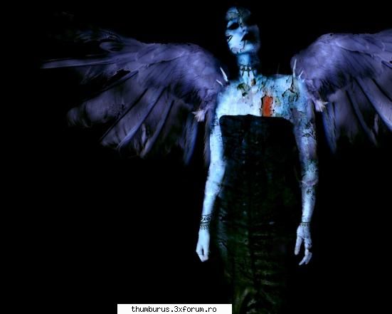Just my pictures - crusader_death - Galerie Foto