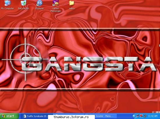 my screen zilei