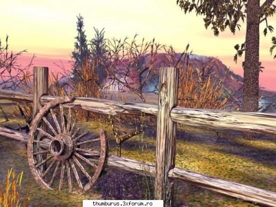 Niste poaze :) - mai lipsesc vacarii de aici .. adica cowboy-ii - Galerie Foto