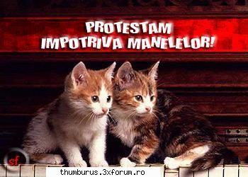 check this no manele