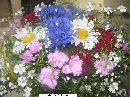 Parce que j'aime les fleurs... - multe floricele - Galerie Foto