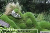 :nebun: poze