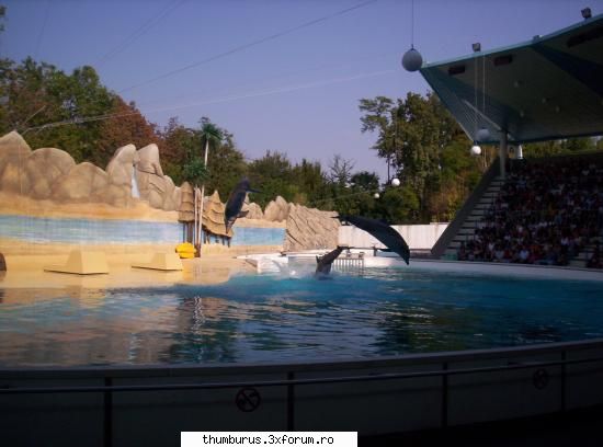 Poze cu noi - din italia de la gardaland - Arhiva