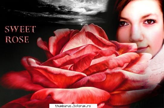 Poze facute in Photoshop - Rose.....8-> like it ? - Galerie Foto