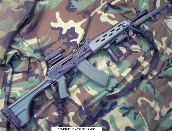 Weapons - Paladin - Galerie Foto