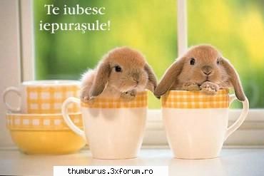 :nod: korect :d credeti in relatiile infiripate pe