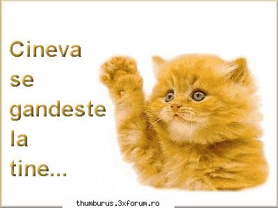 fa-ti reclama - gresisem mai sus :P - Reclama ta