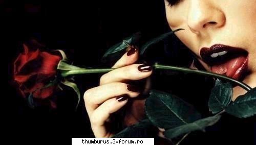 freaky...mmmm... - Lory - Galerie Foto