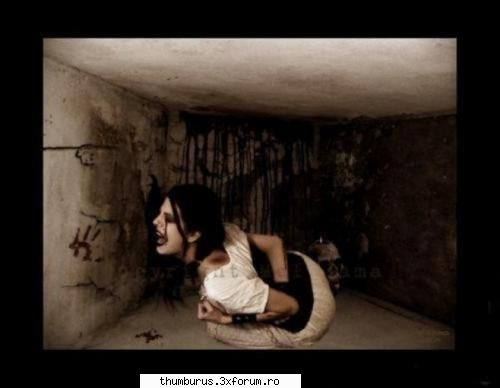 freaky...mmmm... - Lory - Galerie Foto