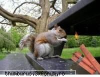 funny pict. - 7days - Poze