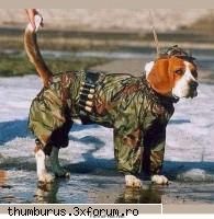 funny pict. - 7days - Poze