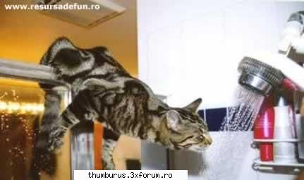 funny pict. - Ati pus imagini funny fara mine huh ??? stati ca - Poze