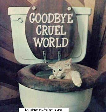 knd esjti supy priveste poza .... sji .... urmeaza exemplul :nod: :zzz: funny pict.