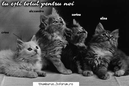 gothic - =D...si pastrezi pachetul??? - Despre ROCK