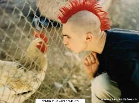 wow ! e o tarantula ?? ce mare e ! :rotfl: (ce animal urat ... :nono: ) hair