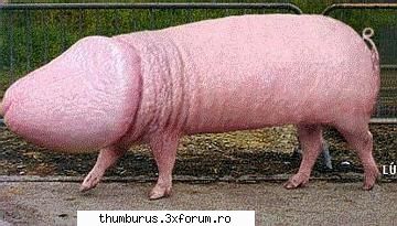 interzis minorilor - cum vad femeile barbatii ! - Poze