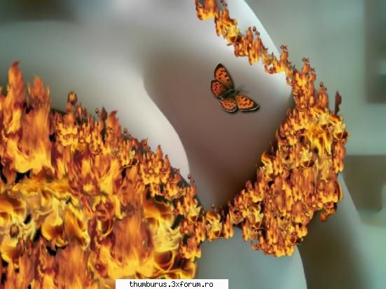 my niddle obsession - mort|c|a - Galerie Foto