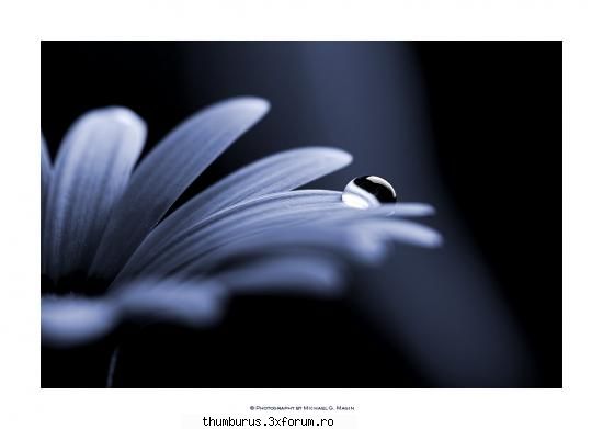 -my pics- - mejulie - Galerie Foto