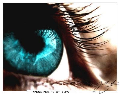 -my pics- - mejulie - Galerie Foto